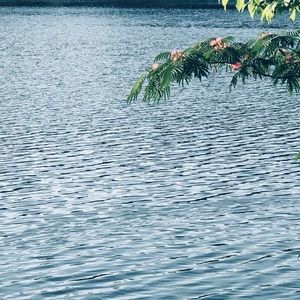 Meet your Posher, Kiana